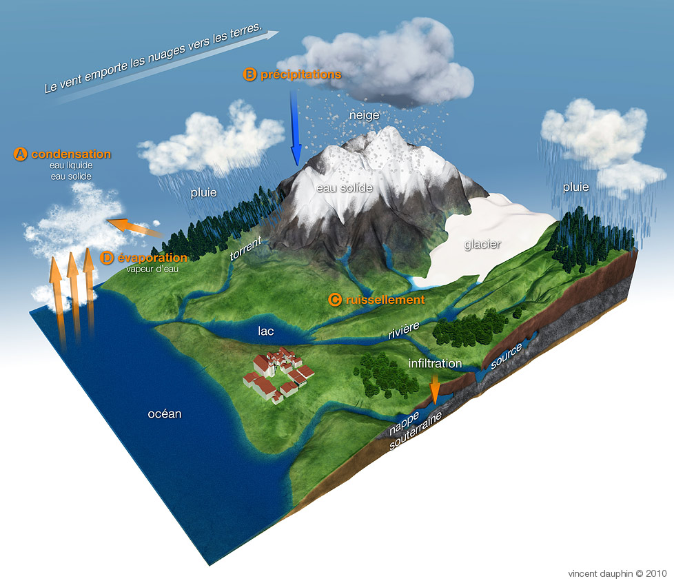 Illustration du cycle de l'eau